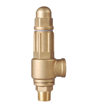 Safety Valve