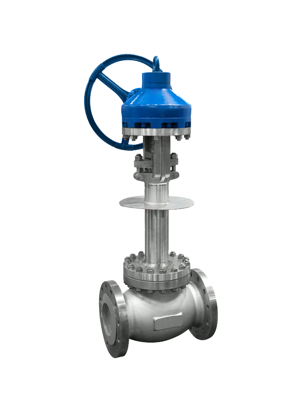 Globe Valve