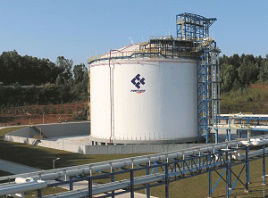 Flat Bottom Cryogenic Liquid Storage Tanks