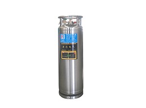 195L Vertical Dewar Bottle