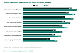 Majority of companies planning investments in natural gas or LNG